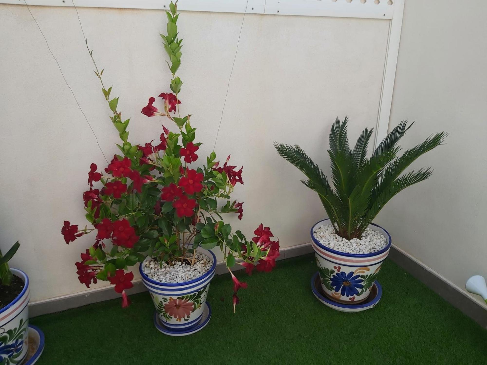 To Be In Malaga Apartment Bagian luar foto